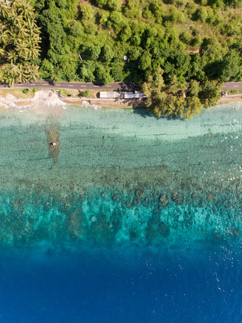 Drone Shot of an Asphalt Road Near Sea