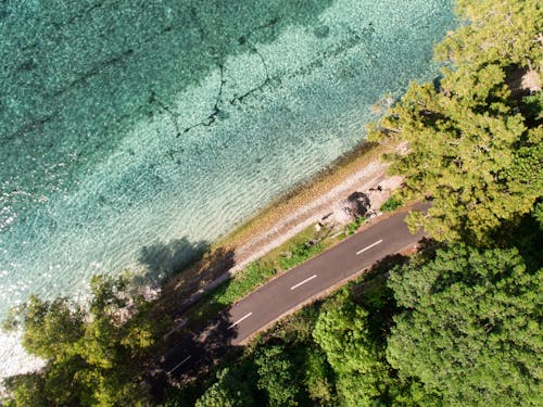 Бесплатное стоковое фото с береговая линия, бирюзовый, деревья
