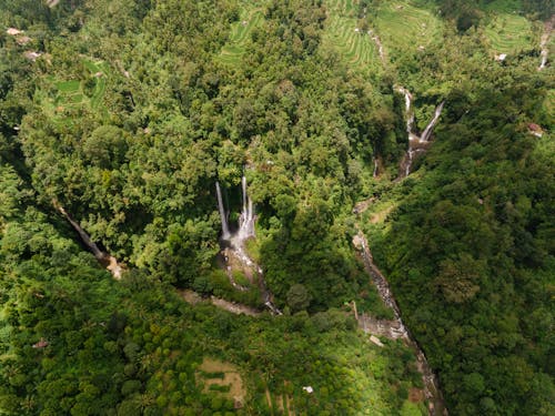 Aerial View of Water Falls and Green Trees