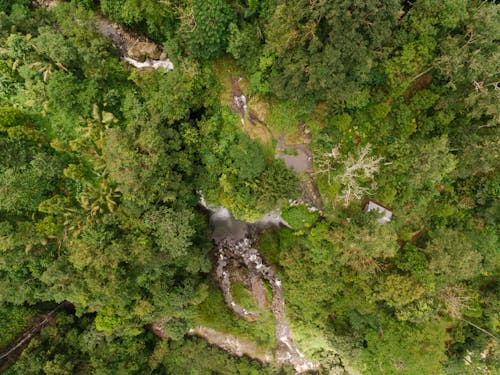 Ingyenes stockfotó drónfelvétel, esőerdő, folyó témában