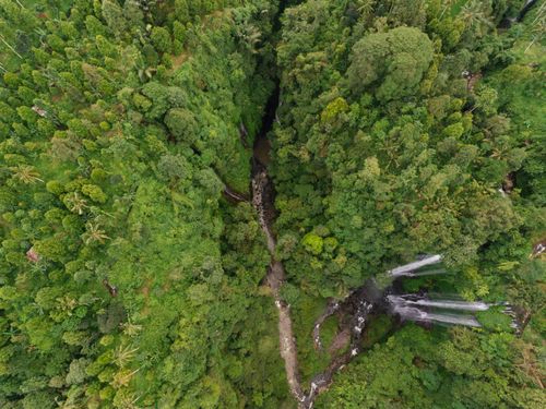 Free Drone shot capturing a dense green forest with a hidden waterfall, providing a breathtaking natural vista. Stock Photo