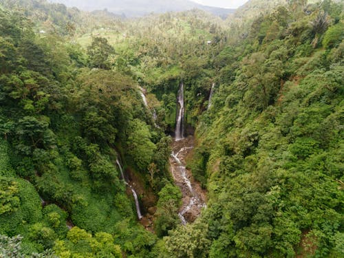 Foto profissional grátis de água, árvores verdes, cachoeiras