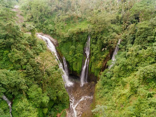 Free Waterfalls in the Middle of a Rain Forest Stock Photo