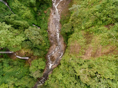 Waterfalls and a River in a Rain Forest in Aerial Photography