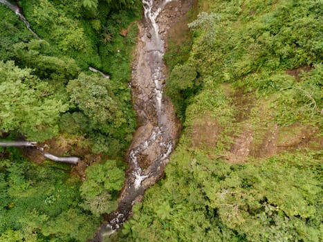 Stunning aerial shot of a lush forest with a cascading waterfall surrounded by greenery.