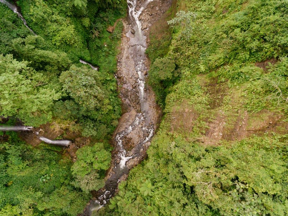 Waterfalls and a River in a Rain Forest in Aerial Photography