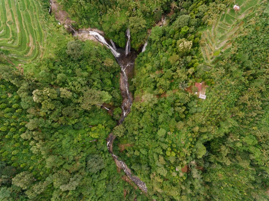Drone shot of vibrant forest with cascading waterfall and terraced fields, representing precision agriculture.