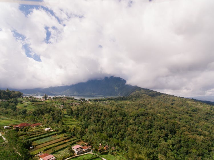 Rice Terraces, Houses And Green Trees Near A Forest