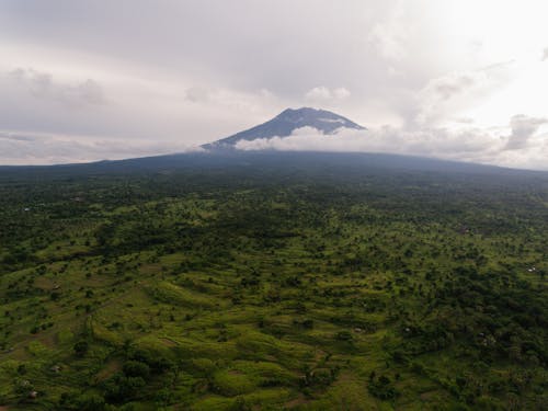 A Mountain Near a Green Grass Land 