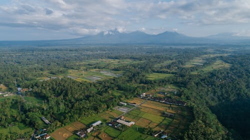 Aerial View of Cropland and Green Trees Near a Mountain