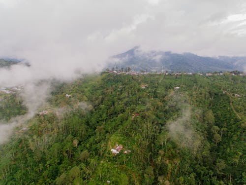 Aerial Photography of Houses in a Forest Near Green Mountain