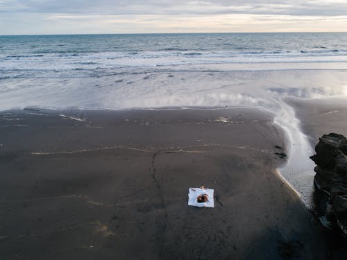 Foto d'estoc gratuïta de establint, foto des d'un dron, fotografia aèria