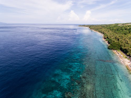 Body of Water Near a Tropical Island