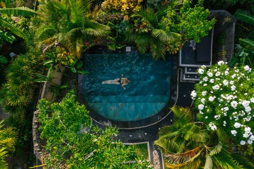 Aerial view of a serene swimming pool surrounded by tropical greens and flowers, perfect for a summer retreat.
