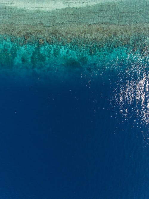 Immagine gratuita di acqua, fotografia aerea, litorale
