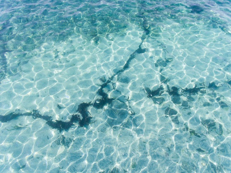 Seabed Under Clear Water