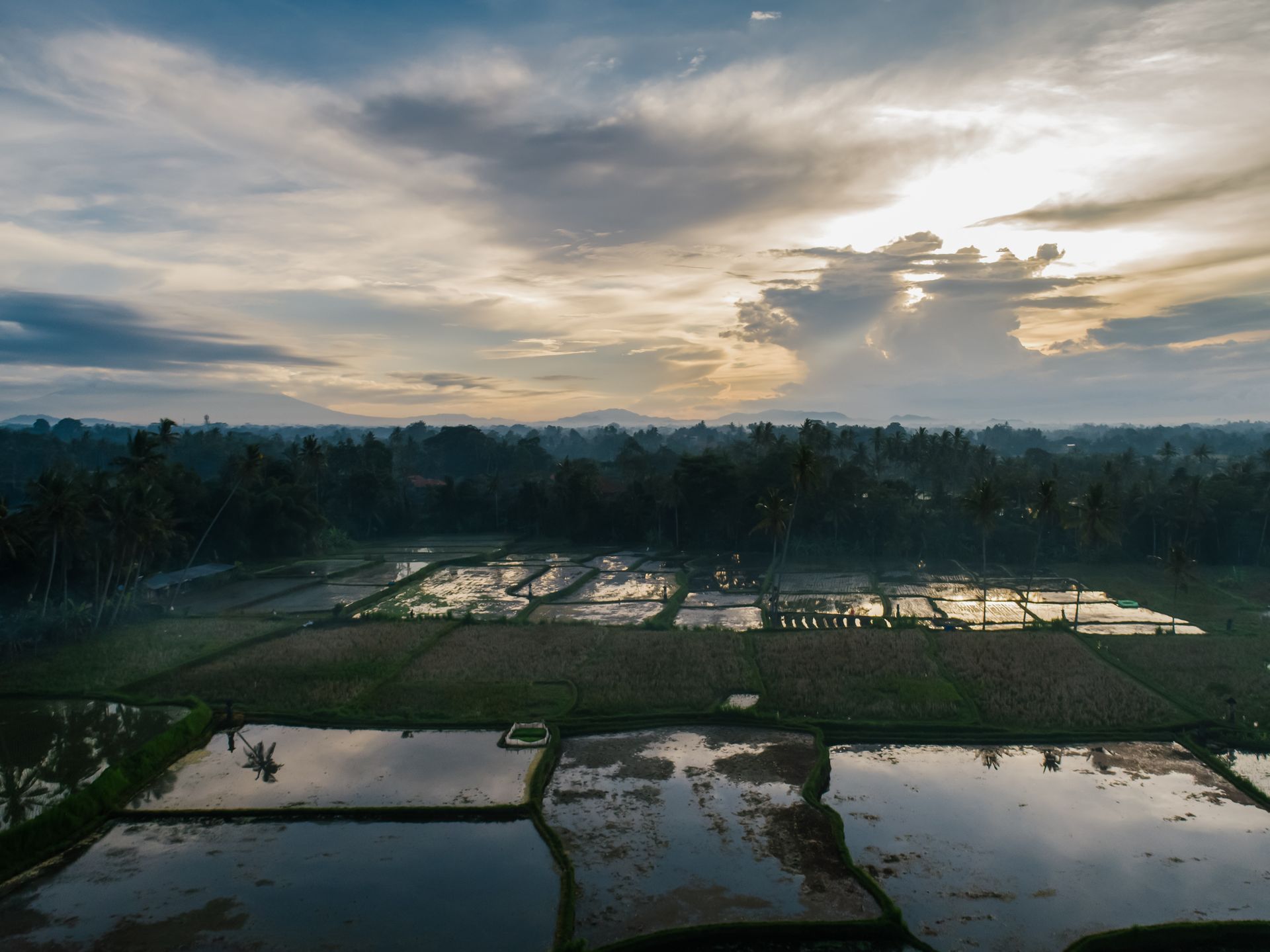 An Aerial Shot of an Agricultural Land
