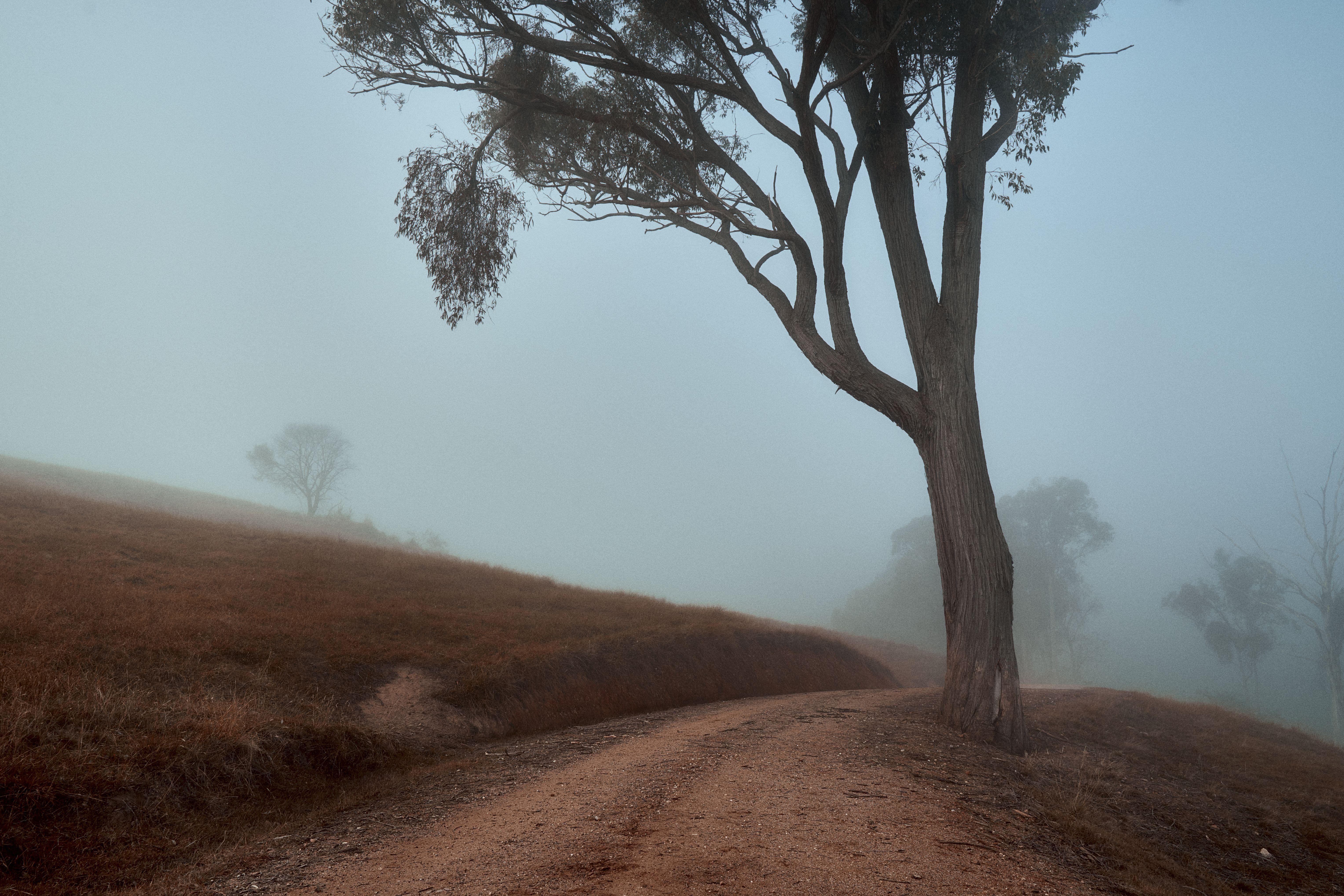 3 Day Compass: Yoga & Sound Healing Experience in Australia 2