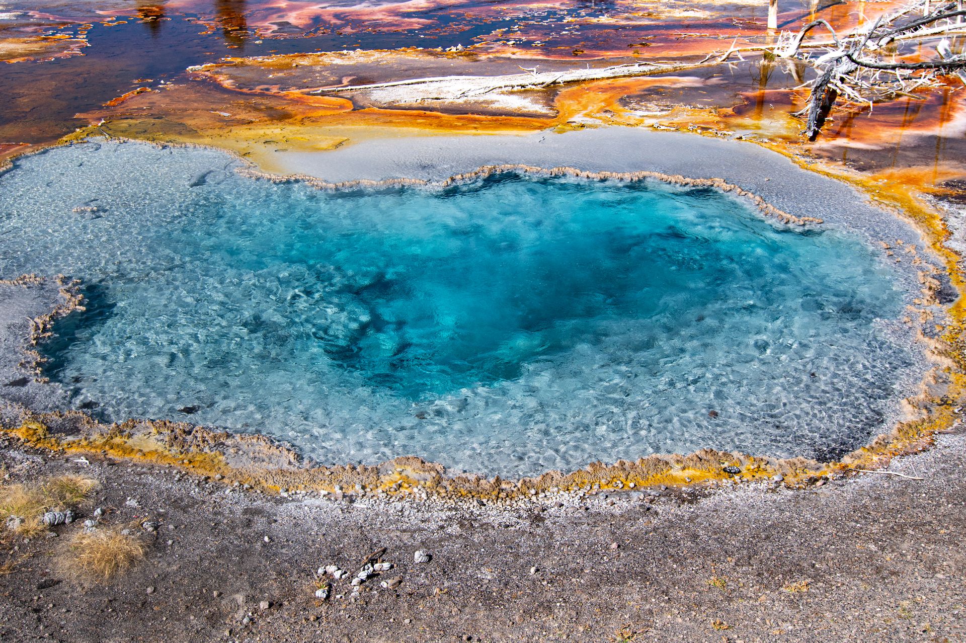 Spectacular geothermal pool with vivid colors in Yellowstone National Park.