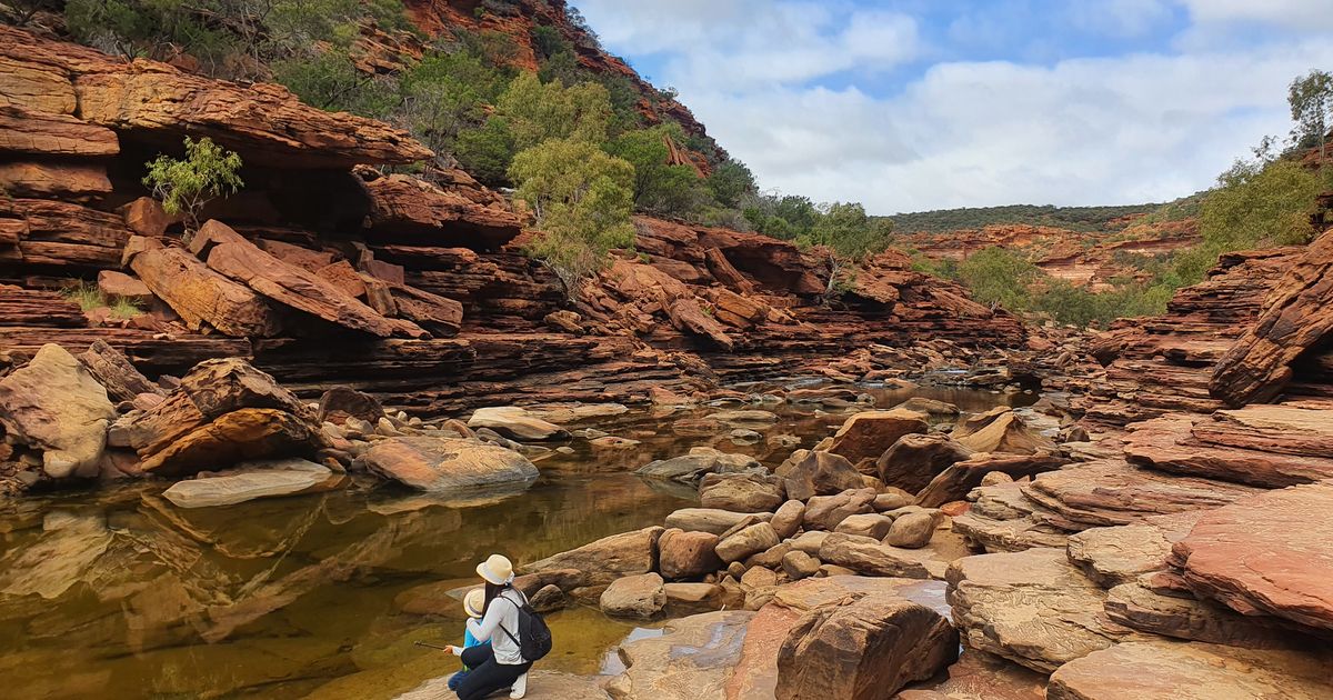Alice Springs' Art & Culture Scene: A Guide to the Red Centre's Creative Heart