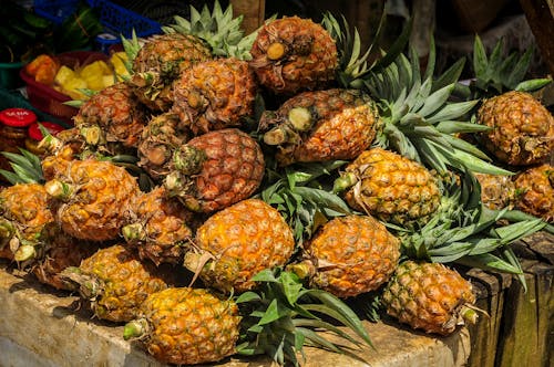 Free stock photo of fruits, india, pineapple