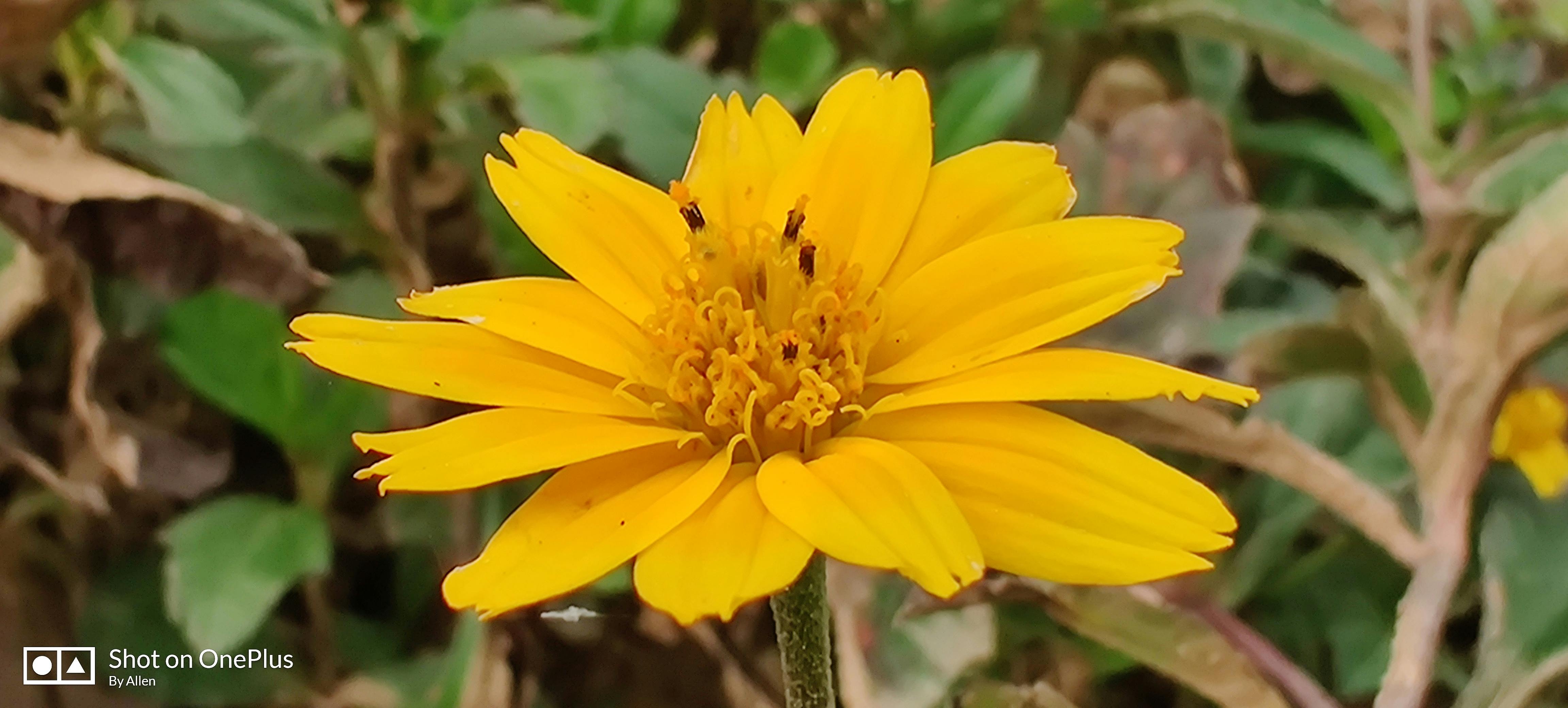 Public health professionals reviewing data and reports on a screen