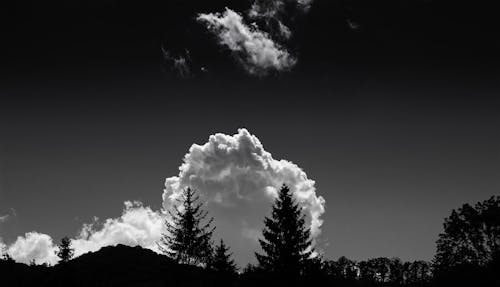 Monochrome Photography of Clouds