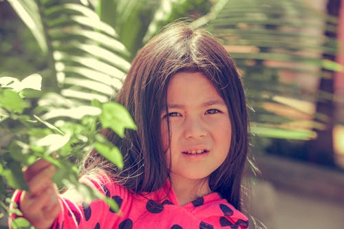 Free stock photo of garden, girl, hiding