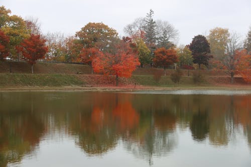 Free stock photo of fall colors, fall foliage, new england