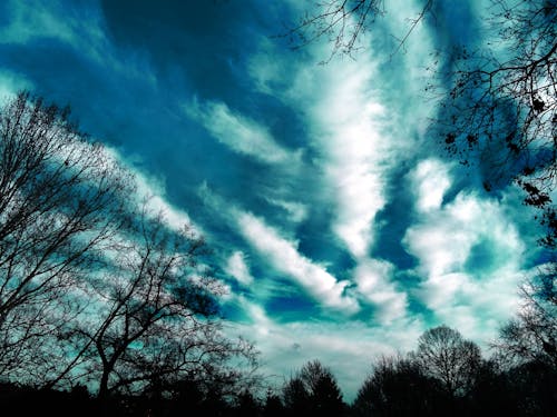 Kostenlos Bäume Und Wolken Fotografie Stock-Foto