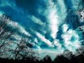 冬天，一片无叶的森林上空，云彩戏剧性地装点着风景