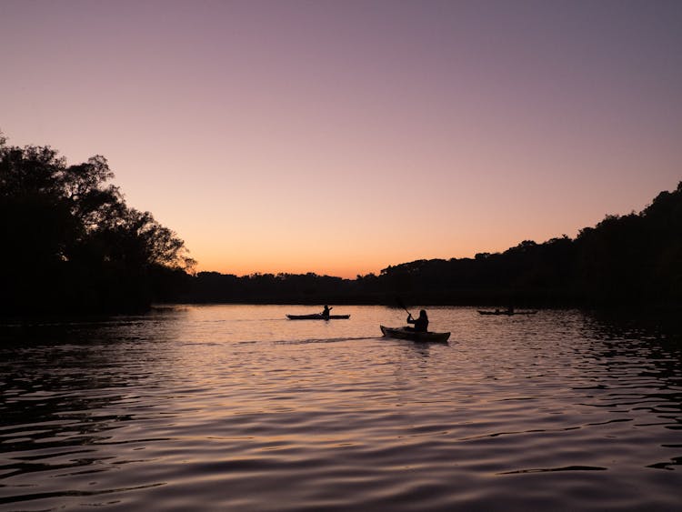 People Canoeing In The River