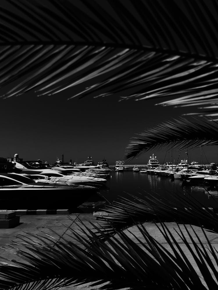 Grayscale Photo Of Motorboats On A Dock