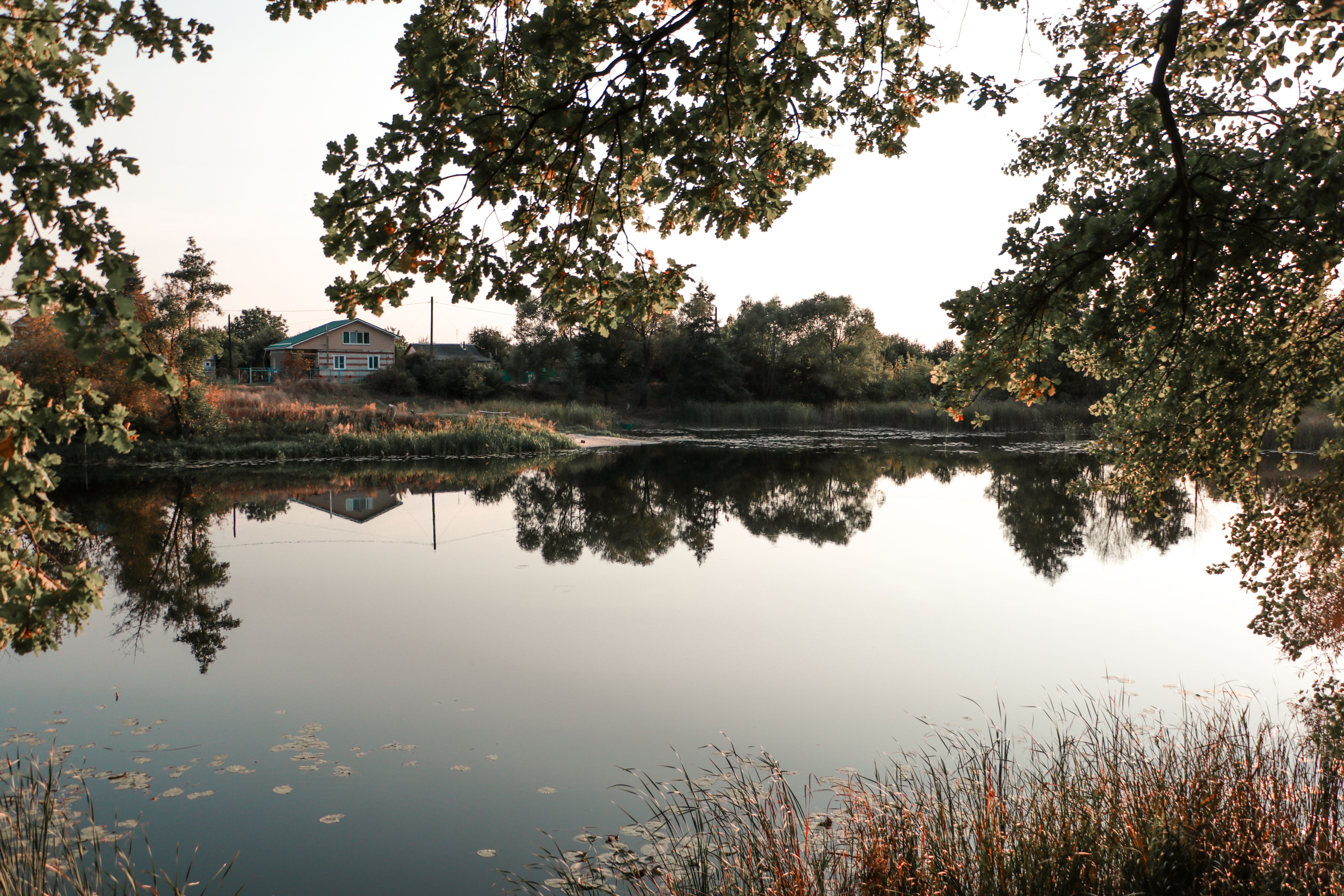 Rural Landscape of a Lake, Trees and Houses · Free Stock Photo