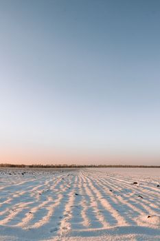 Peaceful winter landscape with open field covered in snow and clear blue sky, captured during day.