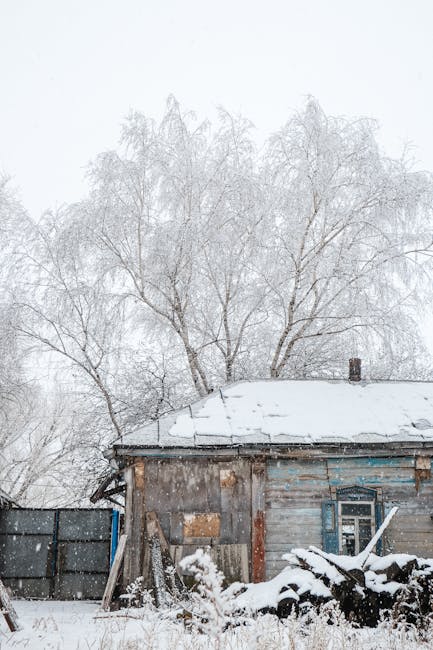 Russia: A Northern Neighbor with a Complicated Past Russia: A Northern Neighbor with a Complicated Past