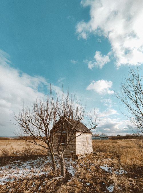 Free A solitary shed stands in a snowy field, surrounded by barren trees under a vibrant blue sky. Stock Photo