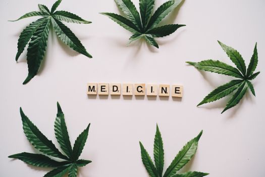 Cannabis leaves arranged with wooden letter tiles spelling 'medicine' on a white surface.