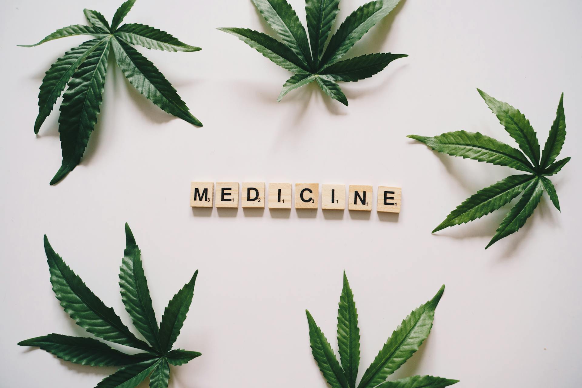 Letter Tiles Surrounded with Marijuana Leaves on a White Surface