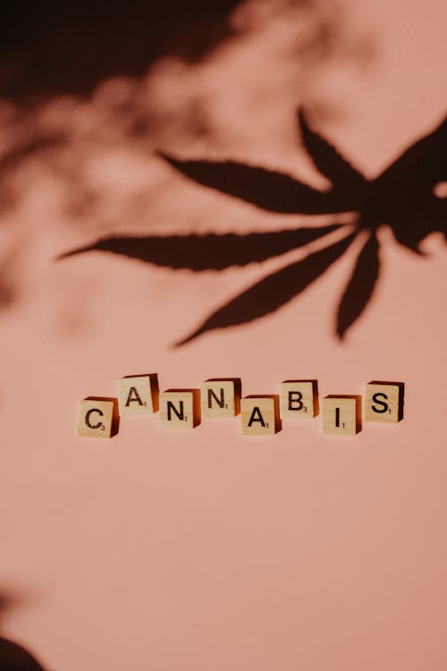 Foto d'estoc gratuïta de cànnabis, cartes, conceptual