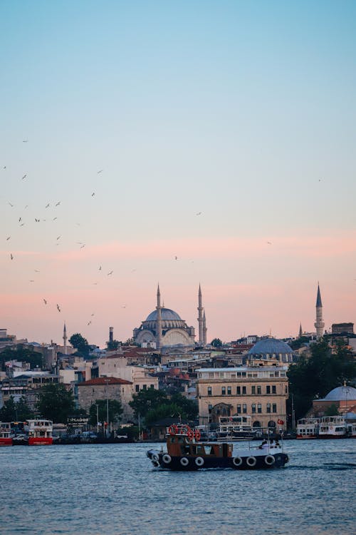 Fotobanka s bezplatnými fotkami na tému birds_flying, budovy, dopravný systém