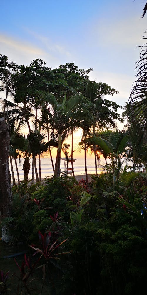 Ilmainen kuvapankkikuva tunnisteilla auringonlasku, costa rica, hermosa-ranta