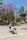 playing basketball