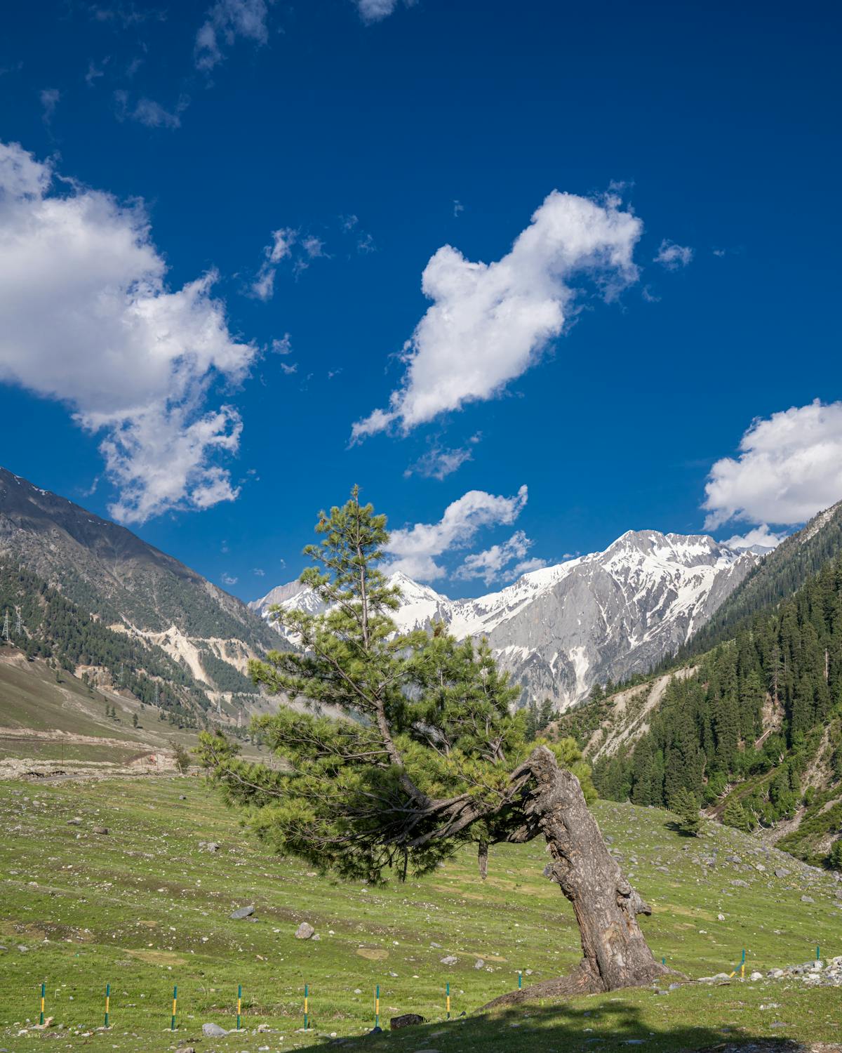 Parent holding a child’s hand while walking across a crosswalk