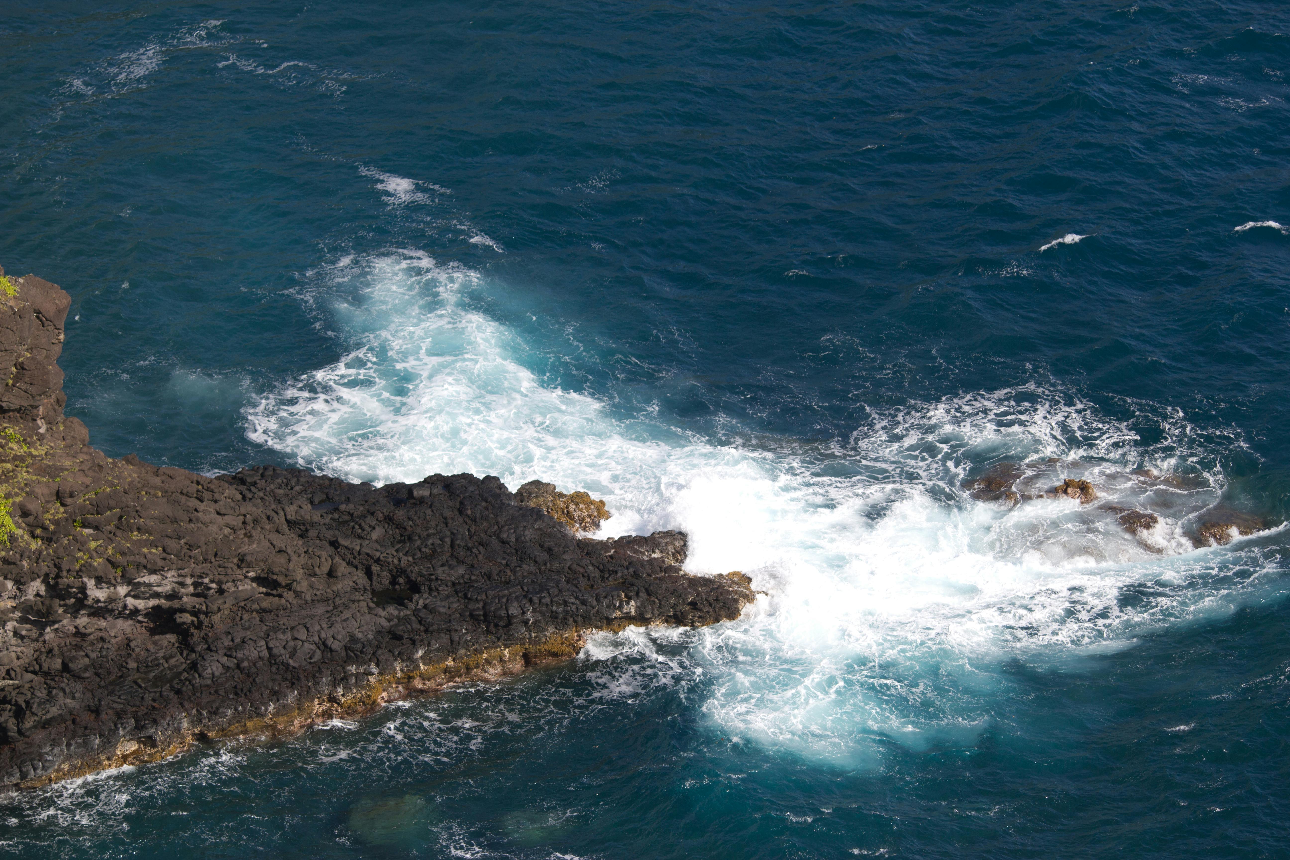 Free stock photo of hawaii, maui