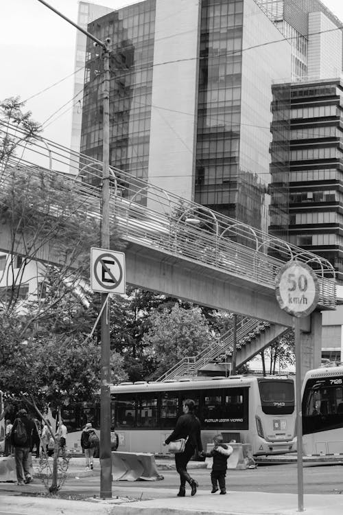 Бесплатное стоковое фото с автобусы, вертикальный выстрел, городской
