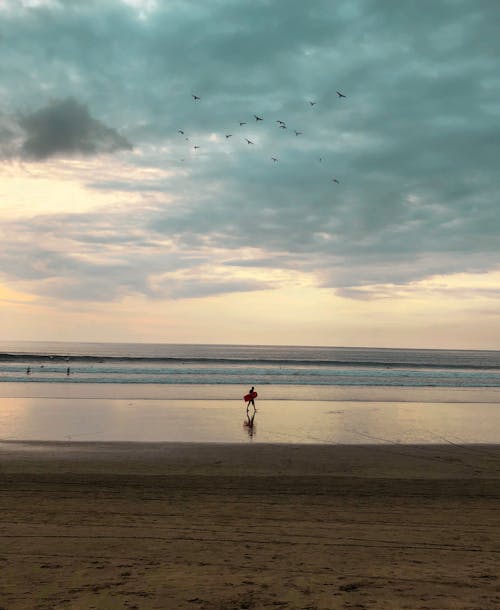 Person Walking on the Beach 