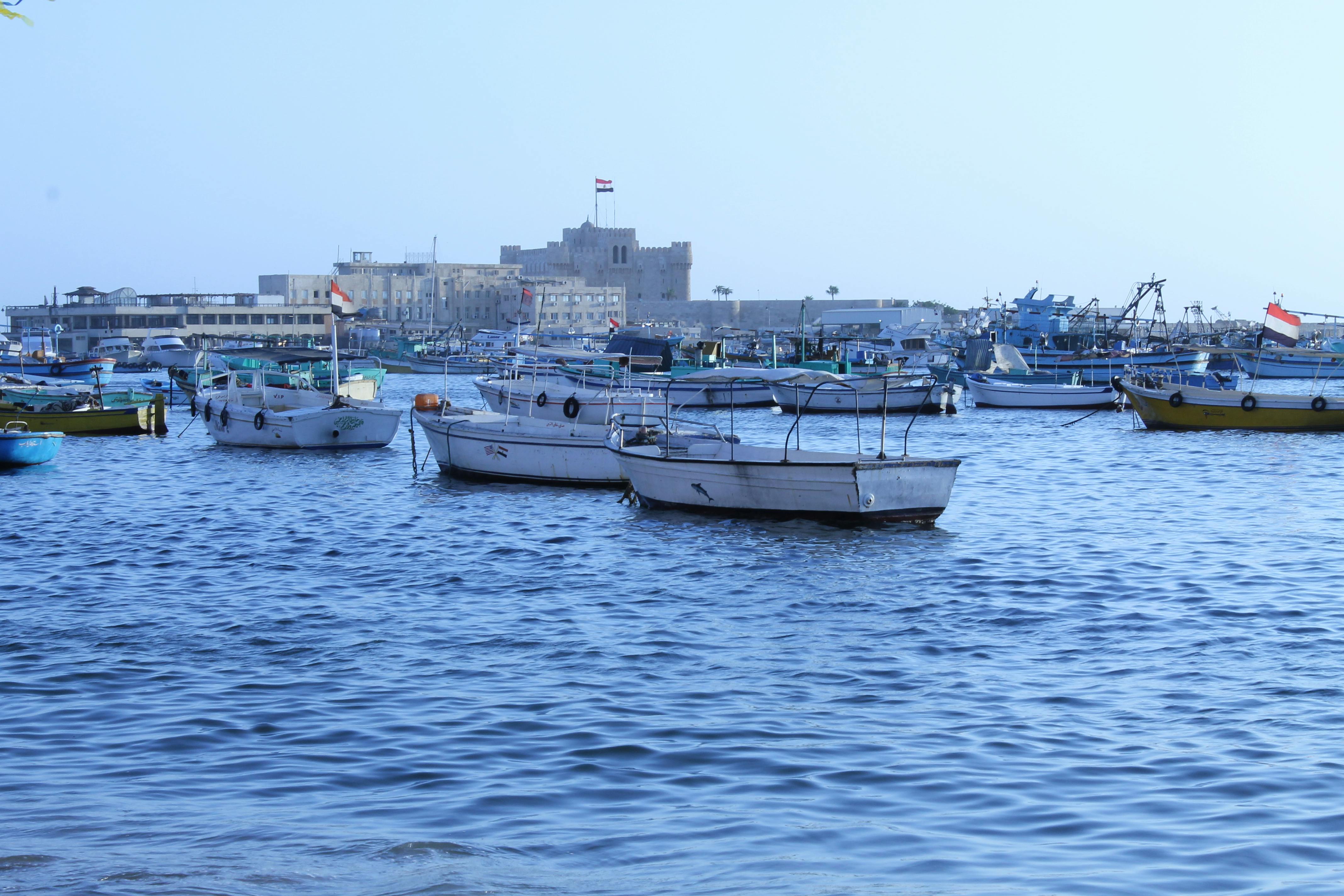 Free stock photo of Alexandria at the moorning, boats waiting to go fishing