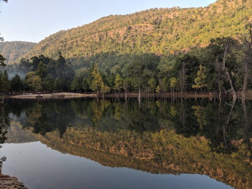 反射, 湖, 自然の無料の写真素材