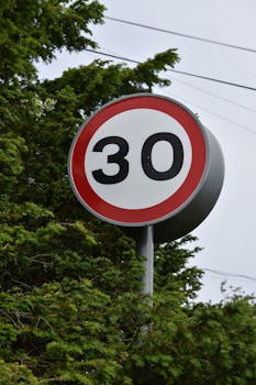 A 30 mph speed limit sign surrounded by green foliage, emphasizing traffic regulations in nature.
